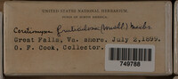Image Associated With the Occurence